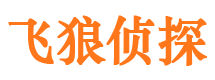 东城侦探公司